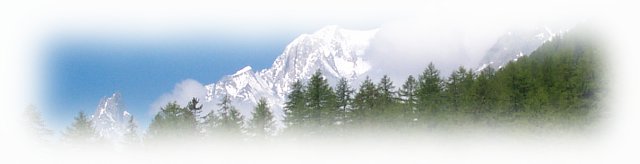 Logo Campeggio Tronchey - Val Ferret - Courmayeur - Italy: 